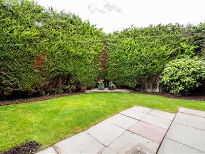 Picture 20